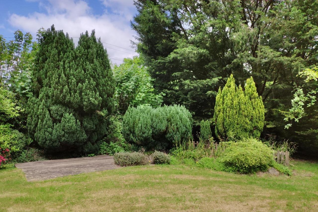 The Annex Roundaway Lodge Okehampton Exteriör bild